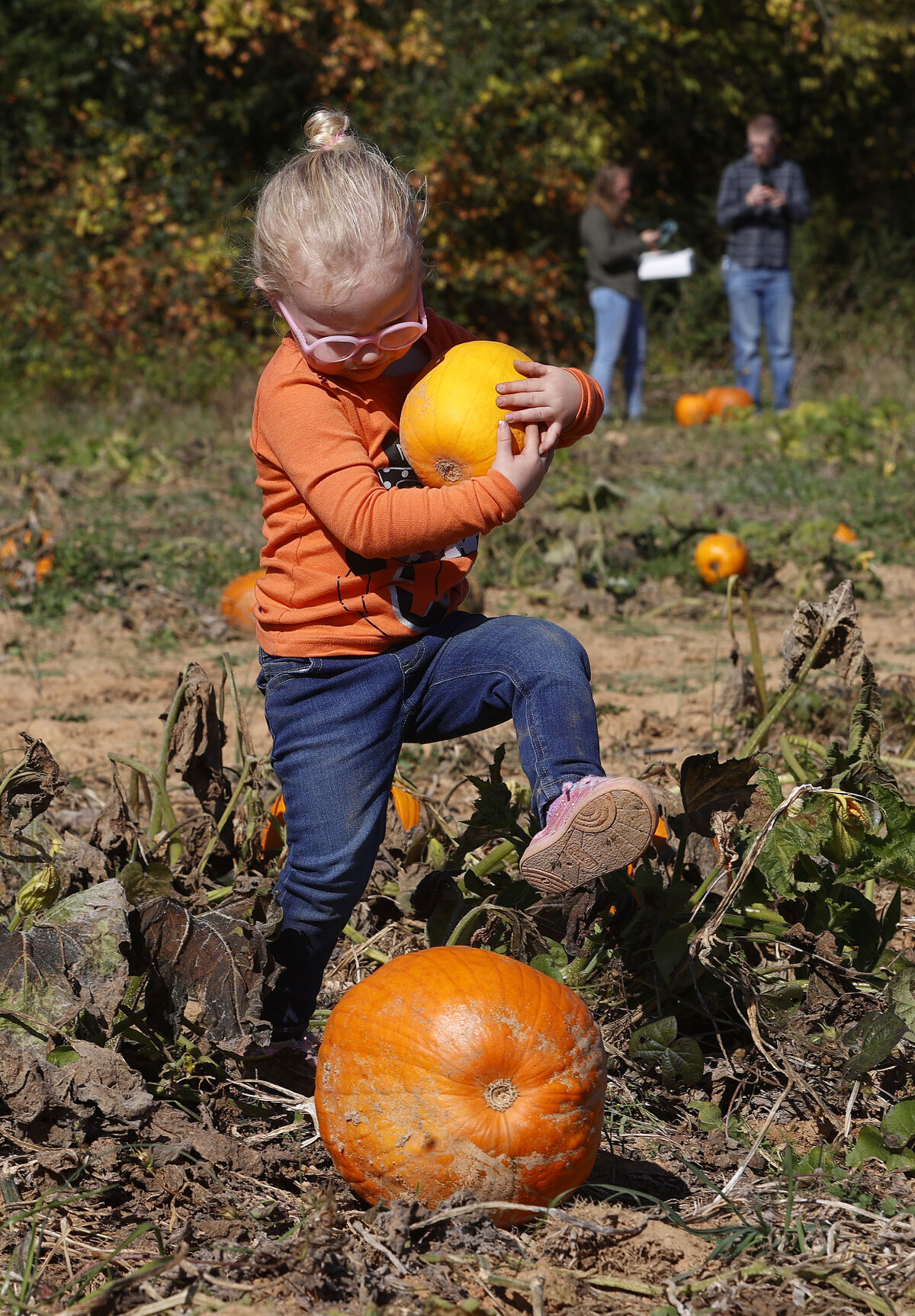 20221023_MET_PUMPKIN_AWE01
